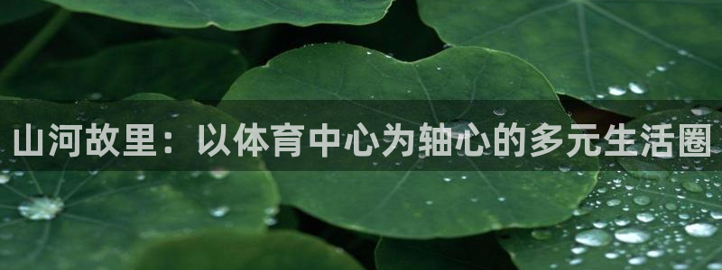 即嗨体育app：山河故里：以体育中心为轴心的多元生活圈