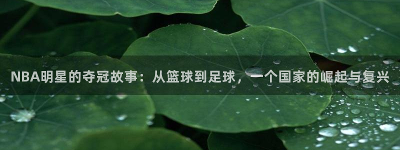 即嗨体育官网：NBA明星的夺冠故事：从篮球到足球，一个国家的崛起与复兴