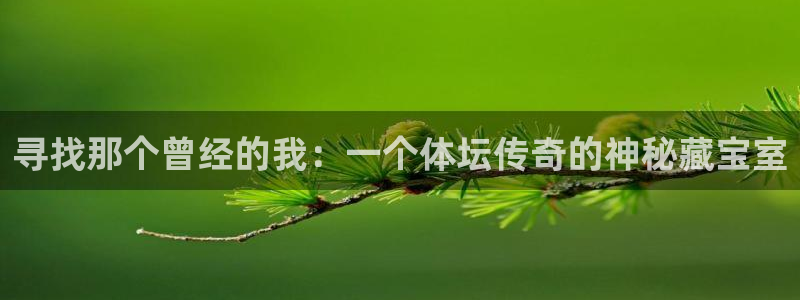 即嗨体育app下载官网：寻找那个曾经的我：一个体坛传奇的神秘藏宝室