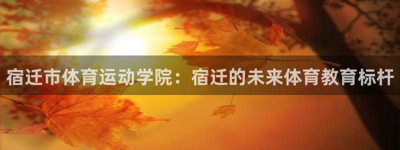 即嗨体育app官网下载：宿迁市体育运动学院：宿迁的未来体育教育标杆