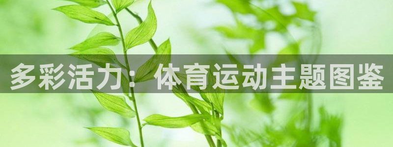 即嗨体育网页版：多彩活力：体育运动主题图鉴