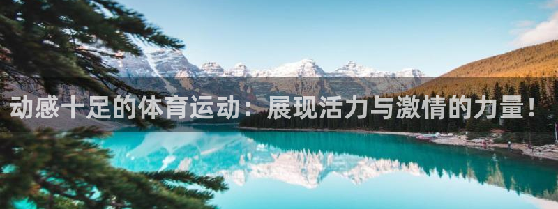 即嗨体育app下载：动感十足的体育运动：展现活力与激情的力量！